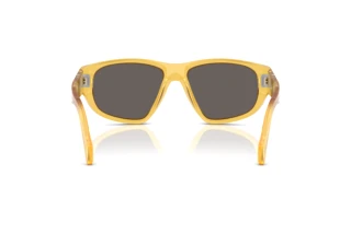 Achteraanzicht Persol PO0050S (204/B1)