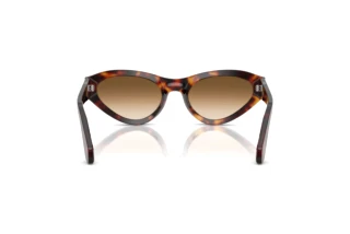 Achteraanzicht Persol PO0052S (24/51)