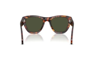 Achteraanzicht Persol PO0054S (24/31)