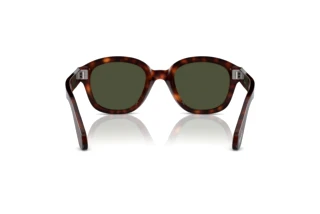 Achteraanzicht Persol PO0060S (24/31)
