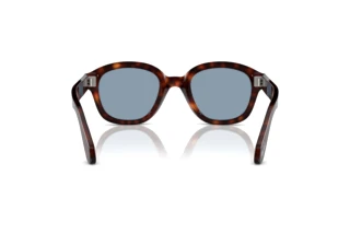 Achteraanzicht Persol PO0060S (24/56)