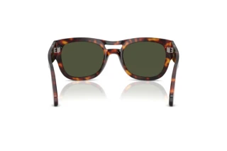Achteraanzicht Persol PO0064S (24/31)