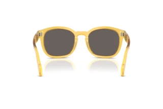 Achteraanzicht Persol PO0082S (204/B1)