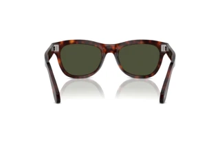 Achteraanzicht Persol PO0086S (24/31)