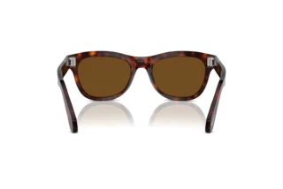 Achteraanzicht Persol PO0086S (24/57)