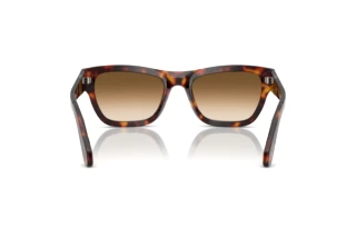 Achteraanzicht Persol PO0091S (24/51)