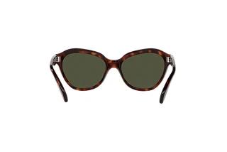 Achteraanzicht Persol PO0582S (24/31)