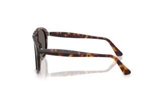 Zijaanzicht Persol PO0649NE (24/B1)