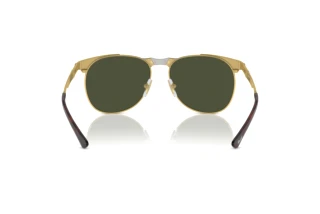 Achteraanzicht Persol PO1016S (515/31)