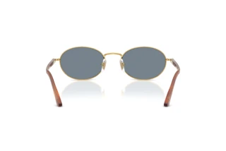 Achteraanzicht Persol IDA (PO1018S - 113256)