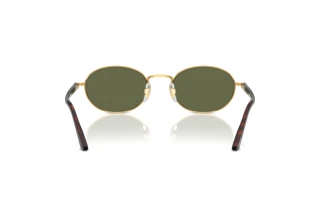 Achteraanzicht Persol IDA (PO1018S - 515/58)