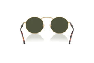 Achteraanzicht Persol PO1019S (515/31)