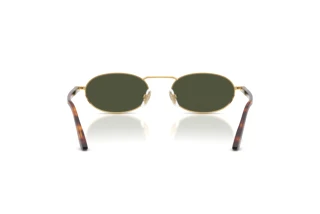 Achteraanzicht Persol PO1023S (515/31)