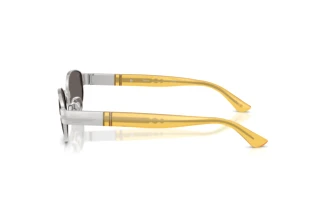 Zijaanzicht Persol PO1024S (518/B1)