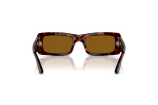 Achteraanzicht Persol FRANCIS (PO3332S - 24/33)