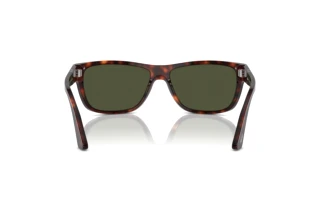 Achteraanzicht Persol PO3342S (24/31)
