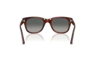 Achteraanzicht Persol PO3372S (122371)