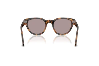 Achteraanzicht Persol PO3379S (105253)