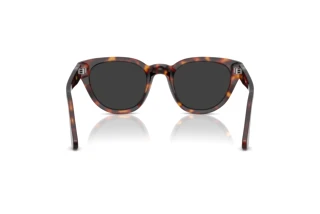 Achteraanzicht Persol PO3379S (24/48)