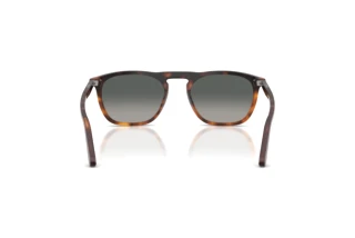 Achteraanzicht Persol GAE (PO3391S - 116071)