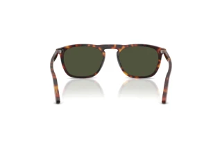 Achteraanzicht Persol GAE (PO3391S - 24/31)