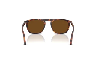 Achteraanzicht Persol GAE (PO3391S - 24/57)