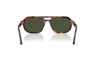 Achteraanzicht Persol GUIDO (PO3393S - 24/31)