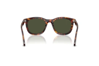 Achteraanzicht Persol PO3395S (24/31)