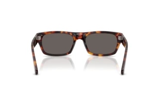 Achteraanzicht Persol PO3398S (24/B1)