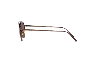 Zijaanzicht Persol PO5010ST (8016AF)