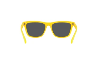 Achteraanzicht Polo PH4167 (542055)