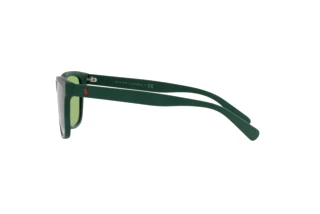 Zijaanzicht Polo PH4167 (5421/2)