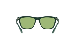 Achteraanzicht Polo PH4167 (5421/2)