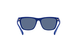 Achteraanzicht Polo PH4167 (596280)