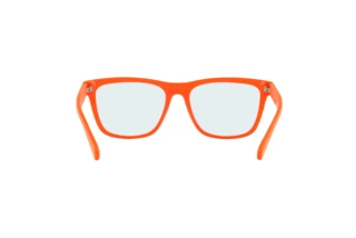 Achteraanzicht Polo PH4167 (596872)