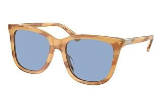 Polo PH4201U 607972 Light BlueShiny Light Honey Havana