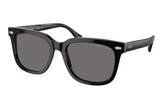Polo PH4210 500181 Polar GreyShiny Black