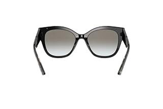Achteraanzicht Prada PR 02WS (1AB0A7)