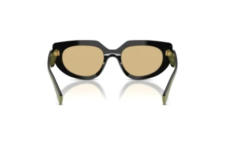 Achteraanzicht Prada PR D02S (03K10R)