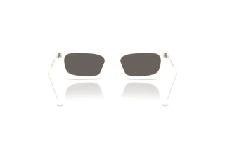 Achteraanzicht Prada PR D05S (17K731)