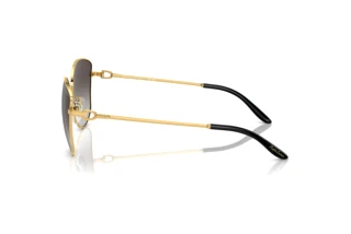 Zijaanzicht Ralph Lauren THE VIVIENNE (RL7079 - 90048G)