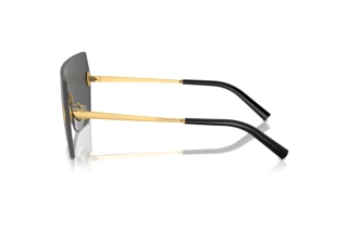 Zijaanzicht Ralph Lauren THE HARPER (RL7085 - 900487)