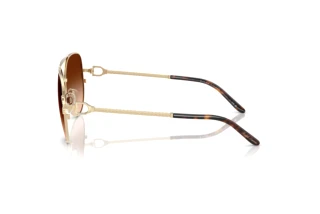 Zijaanzicht Ralph Lauren RL7087 (911674)