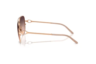 Zijaanzicht Ralph Lauren RL7087 (9329U8)