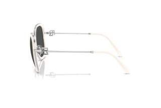 Zijaanzicht Ralph Lauren RL7088 (900187)