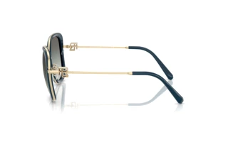 Zijaanzicht Ralph Lauren RL7088 (911611)