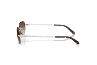 Zijaanzicht Ralph Lauren RL7089 (900113)
