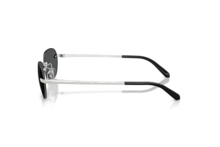 Zijaanzicht Ralph Lauren RL7089 (900187)