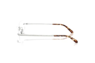 Zijaanzicht Ralph Lauren RL7089 (9001SB)