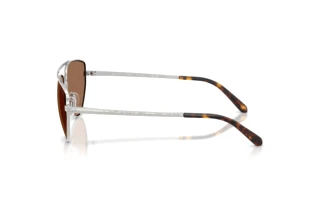 Zijaanzicht Ralph Lauren RL7090 (900173)